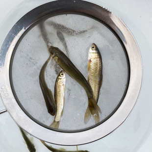 ���~���~�絭ˮ������İ����a�~����·�~���Bֳ�~���~���ͻ��w