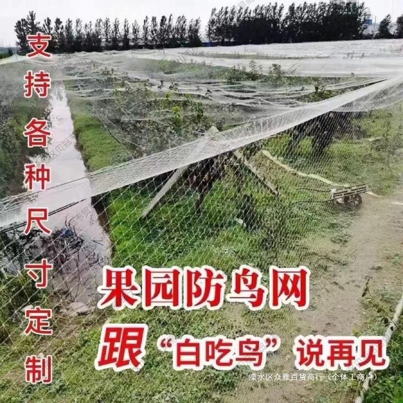 防鸟网防老化大棚保护网家用果树网防鸟用的鱼塘养殖网