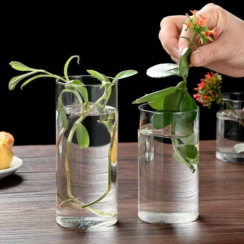 Round Vase Manufacturer Straight Glass Vase Pothos Small Fish Tank Flower Arrangement Hydroponic Landscape Flower Pot Vase