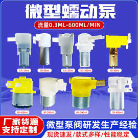 小型直流微型蠕动泵 6V12V雾化高精度微型计量泵蠕动泵生产厂家