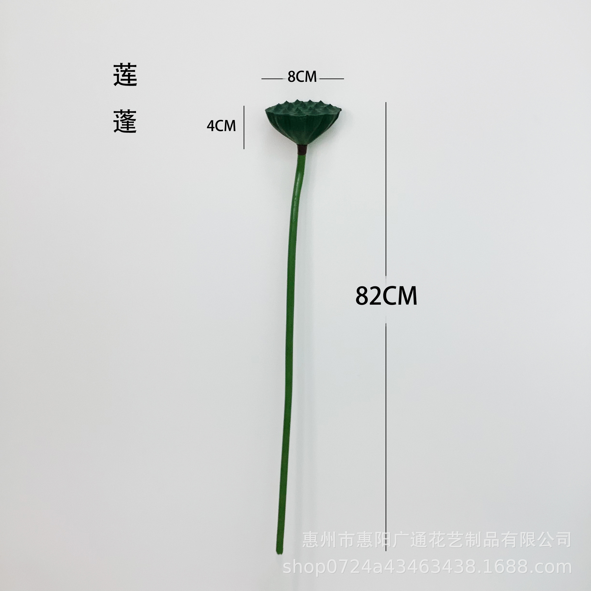 연꽃