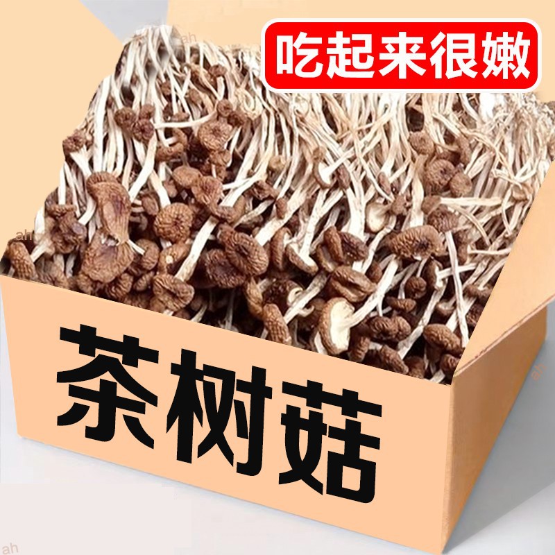 500g农家茶树菇干货2024新鲜不开伞茶树菇香菇蘑菇老鸭排骨汤20g