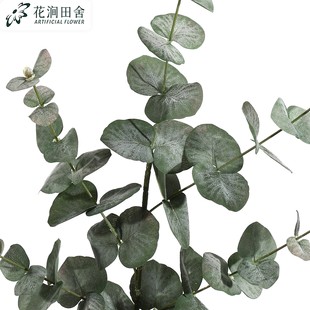 ������X�~ë�{�ȼ�����c����Gֲ�ȼ����Ҿ�ܛ�b�Ʒ�������l