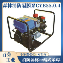 GYB 55/0.4ɭ��������550m�P������������ˮ������p���Ӝ��ˮ��