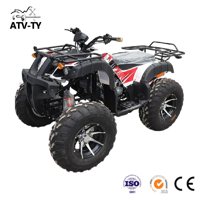 [Большегрузный вездеход для пляжа 125cc-350cc ATV квадроцикл для езды по пересечённой местности]