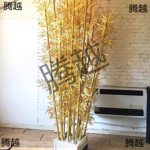 ������������ɫ���ӻ�c���҃��b���ʽ��Y���Ͻ����Ӹ������l
