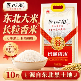 大米