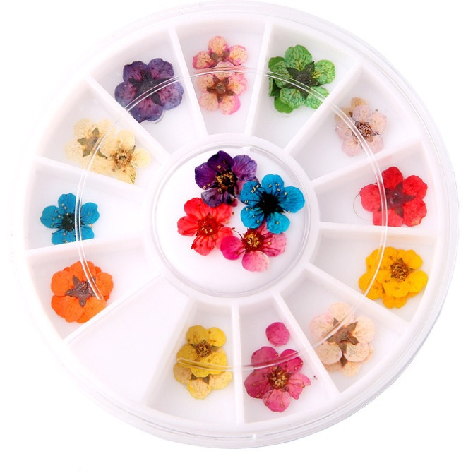 Nail 12 -color dried flowers nail box dry flower nail jewelry nail…