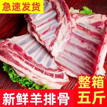 ���r�F�����ɹ�ȫ���ЉK���ż�����С����ϐ������ɽ����