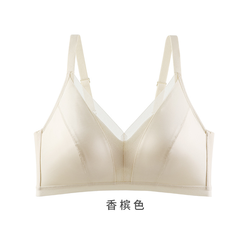 샴페인