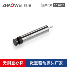 高扭矩减速齿轮激光振镜扫描系统驱动高功率空心杯电机国产化替代