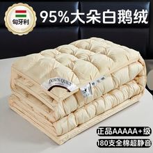 匈牙利五星级酒店羽绒被95白鹅绒春秋被芯冬季保暖婚庆鹅绒被