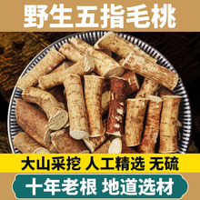 现货现货广东野生五指毛桃材根天然椰香煲汤料土茯苓新鲜农家速发