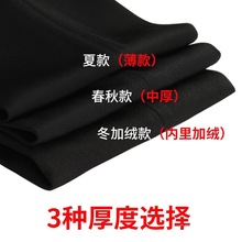 2025春夏女西裤女西装裤休闲裤韩版工作裤ol女士商务白领铅笔裤女