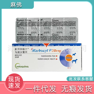 ������¡�����ζƬ5mg������ð��ș؈����Ƥ�w���΢��Ƭ