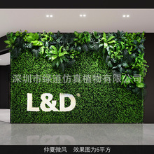 ������΢�L������ֲ�1ƽ���|�����w����Gֲ���bGɫ�쾰