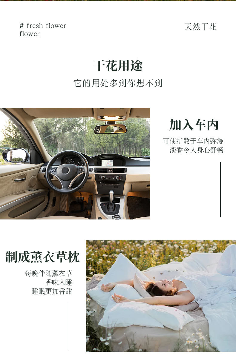 鲜花详情_10
