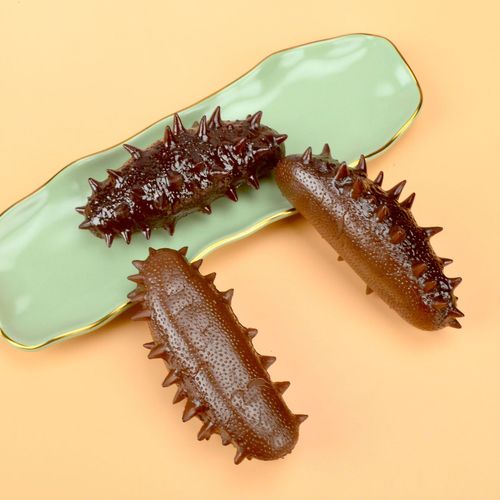 Simulated Sea Cucumber Model 3D Seafood Prop Children's Pretend Play Toy Eat-and-Play Kitchen Window Display Model Wholesale