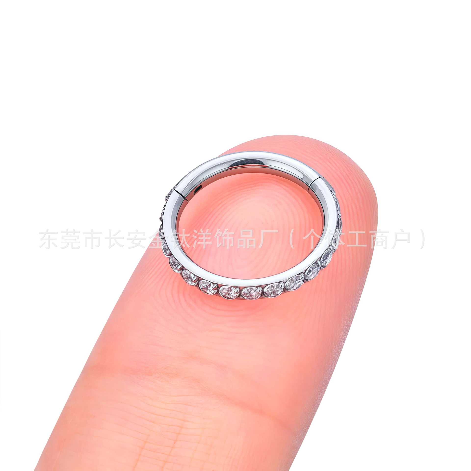 F136 Titanium Inlaid Zircon Closed Ring Earrings, Nose Rings, Lip Rings, Ear Studs, Cartilage Rings, G23 Titanium Body Piercing detail image 7