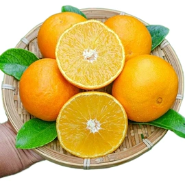 块茎类;苹果;其他水果