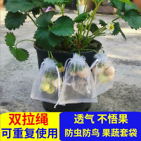 Оптовая продажа фруктов, защищенных от насекомых и птиц, защитная сумка, клубника, помидор, защищенная от насекомых, Сетчатая Сумка, дышащая прозрачная Сетчатая Сумка