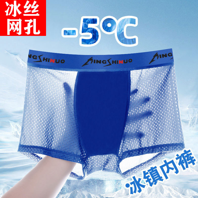 Calzoncillos Boxer de los hombres de seda de hielo verano malla transpirable malla hueco modal Boxer shorts cabeza fábrica al por mayor