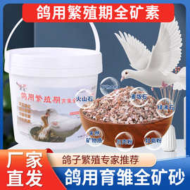 奕达鸽子繁殖期专用保健砂沙子信鸽赛鸽观赏鸽粮食饲料高钙保健砂