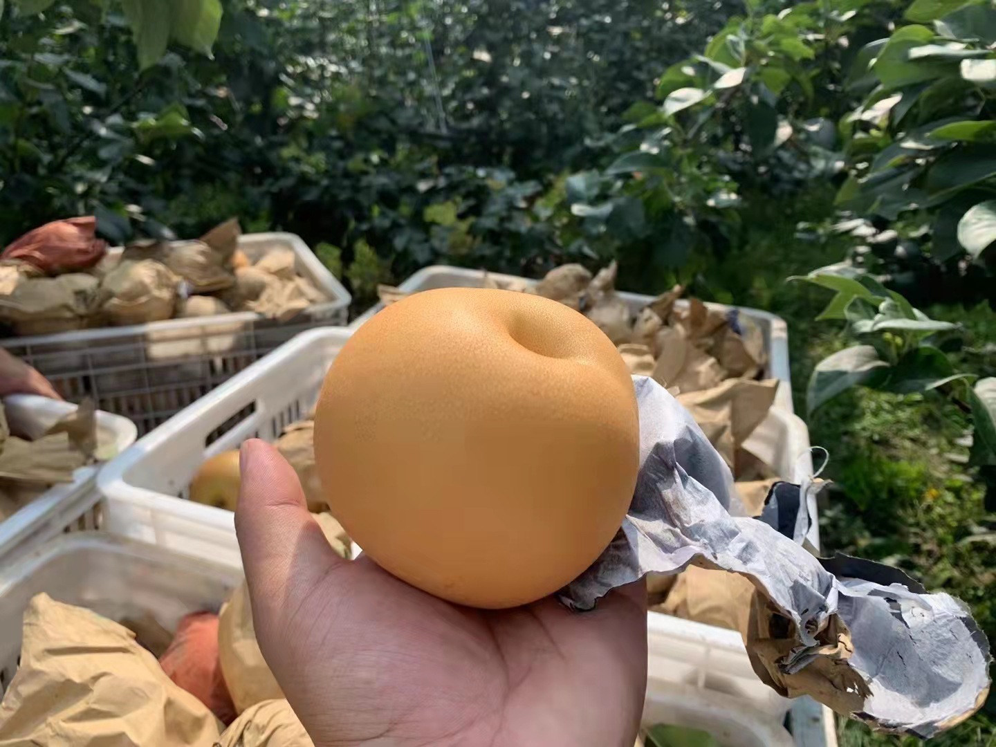 微信图片_20220818002956