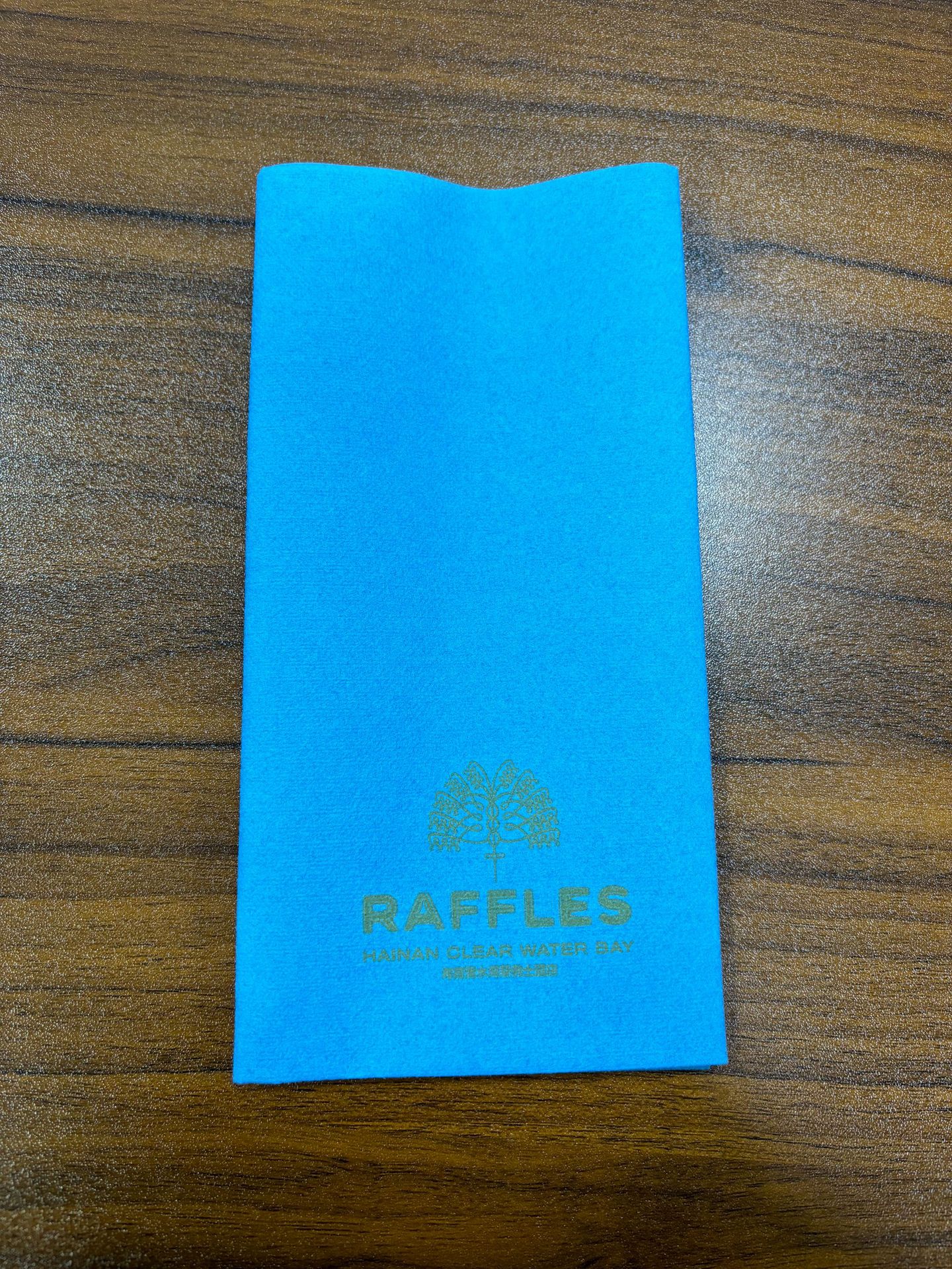 40*40蓝色印刷无尘纸1/8折