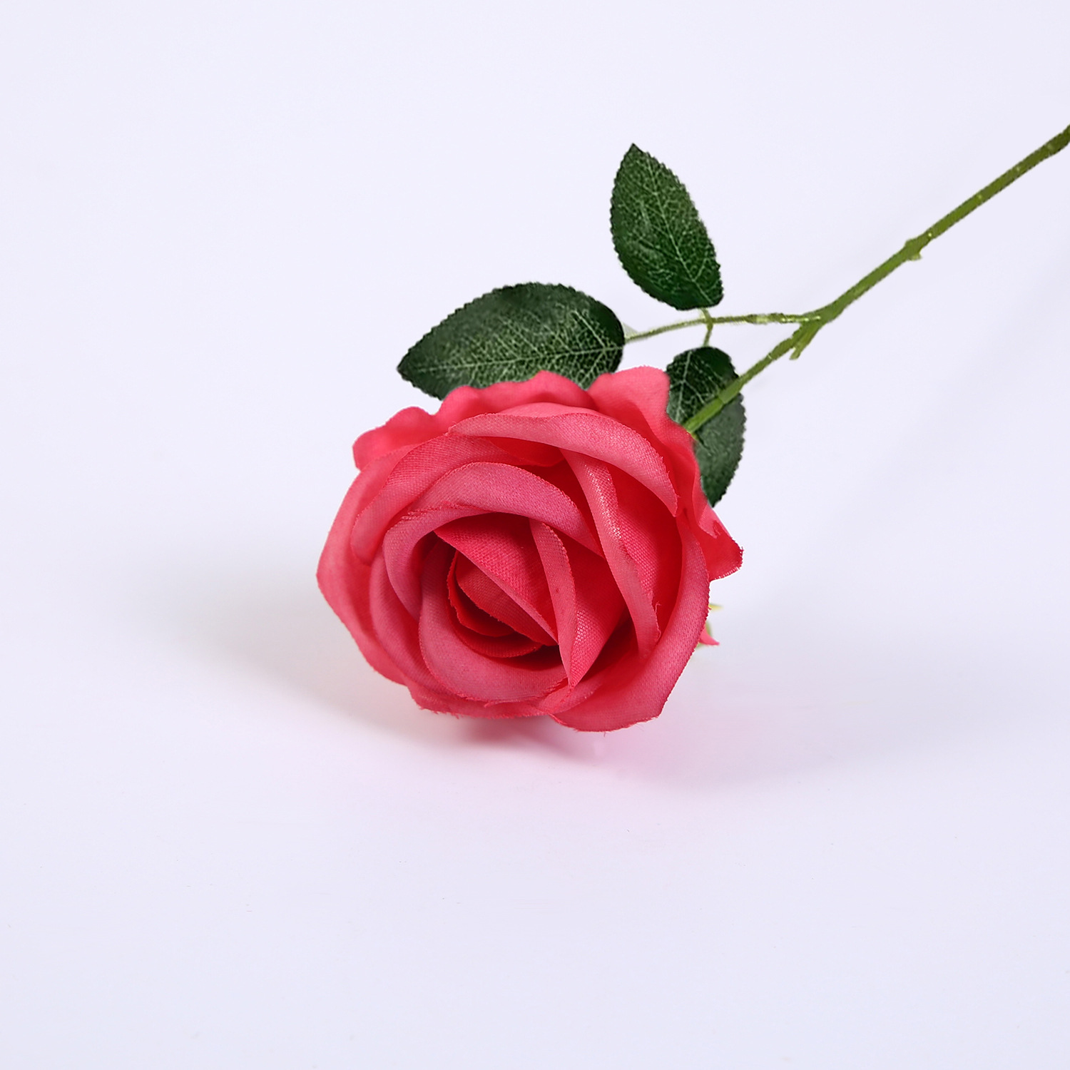 빅 레드 6호 + 잎이 있는 24cm 꽃줄기