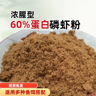 ���r��1���ϘO���r�ߵ�����~��ζ�r���a�~���~�_��Ұឺڿ�����