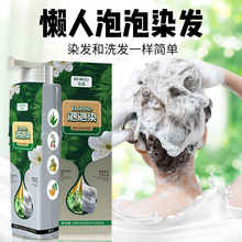 北柔泡泡染发剂潮色遮盖白发在家自己染发膏男女通用不伤发护发