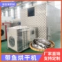 定制循环大型带鱼干燥机