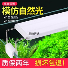 �~�׹��ܟ�led�����������쾰��ˮ��ˮ�ݟ���С��ˮ����ܟ�