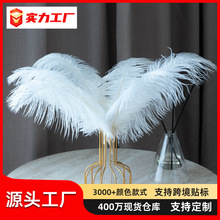 马卡龙鸵鸟羽毛30-35cm鸵鸟毛客厅餐厅氛围装饰摆件花束diy材料