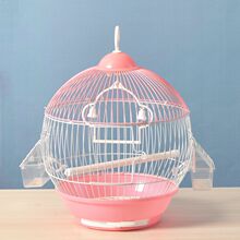 �A�B�\��Ƥĵ���W�^�������BС�����^�h���@ˇ�B�\��