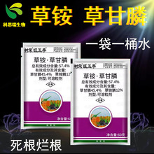 ��s���ײݸ��ט�s���弾���݄����@�ݸ��ײ��@�ݸ�좳��݄���Ʒ