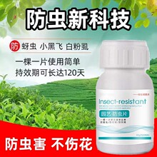 ֲ����xƬ��ጷ������ԾGֲ������x�������������B��ͨ���͠I�B