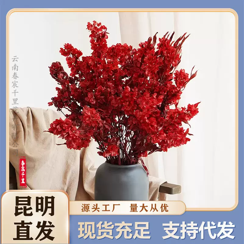 迎客豆蝴蝶花新年宵花婚庆布置居家装饰福桶喜庆永生花干花材摆件