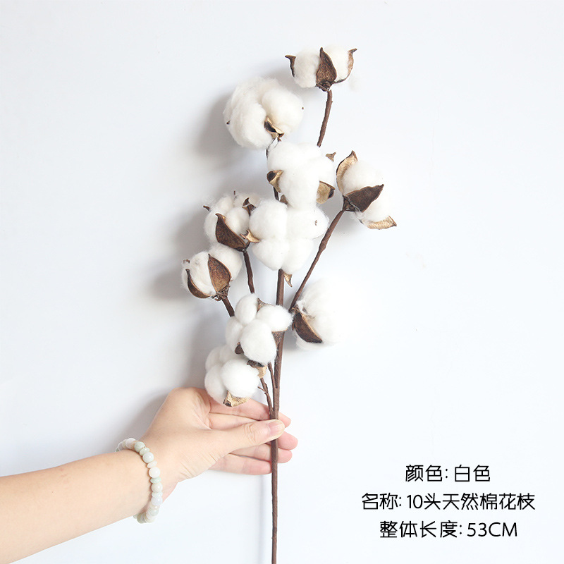 Simulación de flores secas de algodón buquete de flores inmortales de Navidad decoración de flores falsas de algodón props de disparo