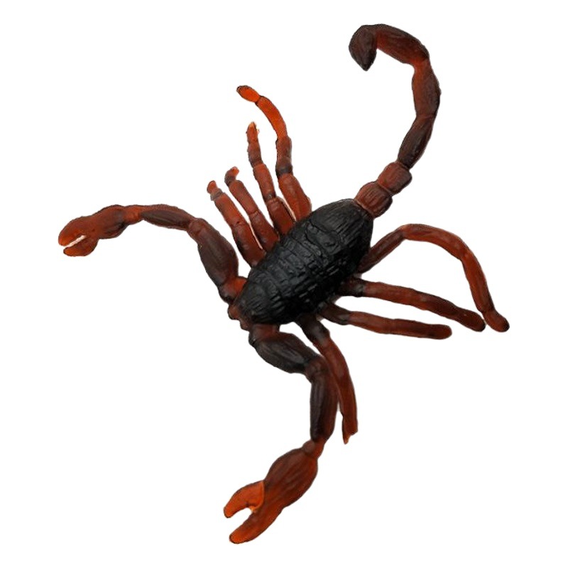 Simulated Insect Toys, Fake Cockroaches, Fake Scorpions, Prank Scare Insects, Fake Centipedes, Flies, Geckos