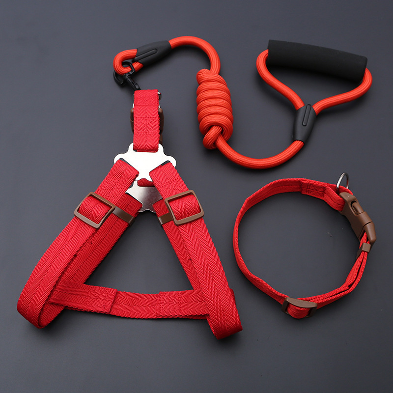 3 피스 세트-빨간색 긴 로프 (가슴 뒤 + 칼라 + 2 m 로프)