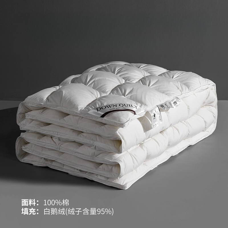 Five-Star Hotel down Quilt 95 White Goose down Winter Quilt Spring & Fall Quilt Double Quilt Core Thickeneded Warm Goose down Quilt