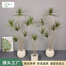 ������ֲǧ��ľ���ڿ����Ҿ��̳�װ�����Դ������ֲ����Ҷ��Ѫ��