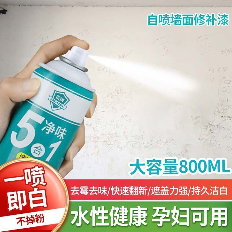 雷牌墙面喷漆墙面修复水性漆涂鸦污渍翻新胶修补墙漆自喷乳胶漆|undefined