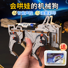 ƼССѧdiyػе޵·ʵ߿ѧʵ̾