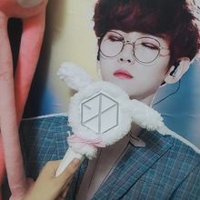 韩国EXO爱丽棒灯套应援灯保护套子毛绒玩偶吴世勋灿烈伯贤同款