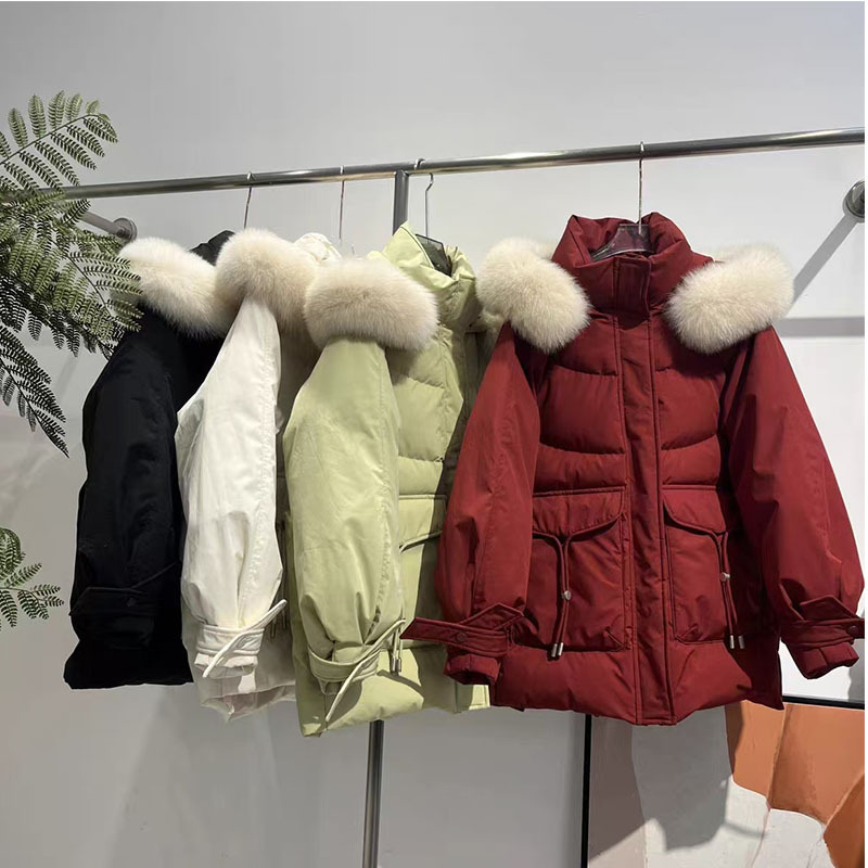 10 (2).jpg?x-oss-process=image/format,png