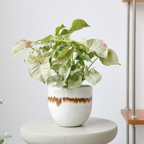 Creative irregular shape desktop landscape green plant pot flow glaze niche design ceramic mini flower pot