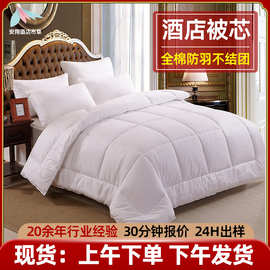 民宿酒店床上用品春秋冬被 厂家批发五星级酒店羽丝绒全棉花被芯